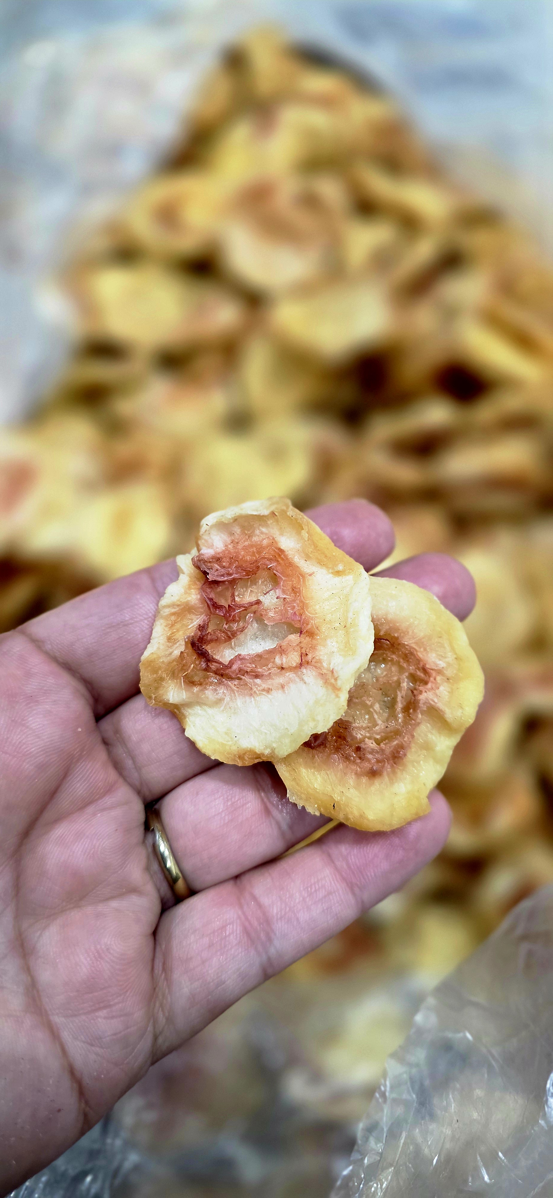 برگ هلو گوشتی