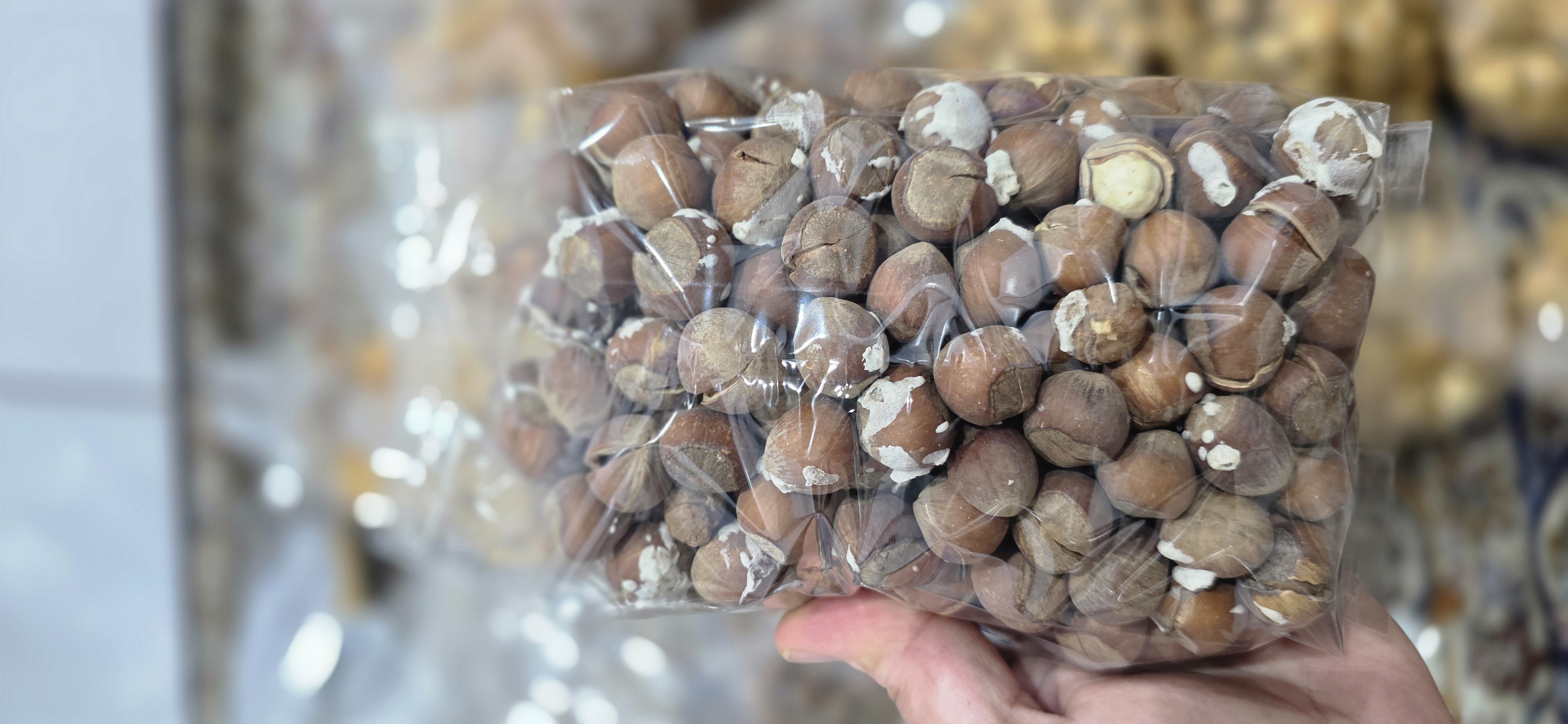 فندق اشکورات